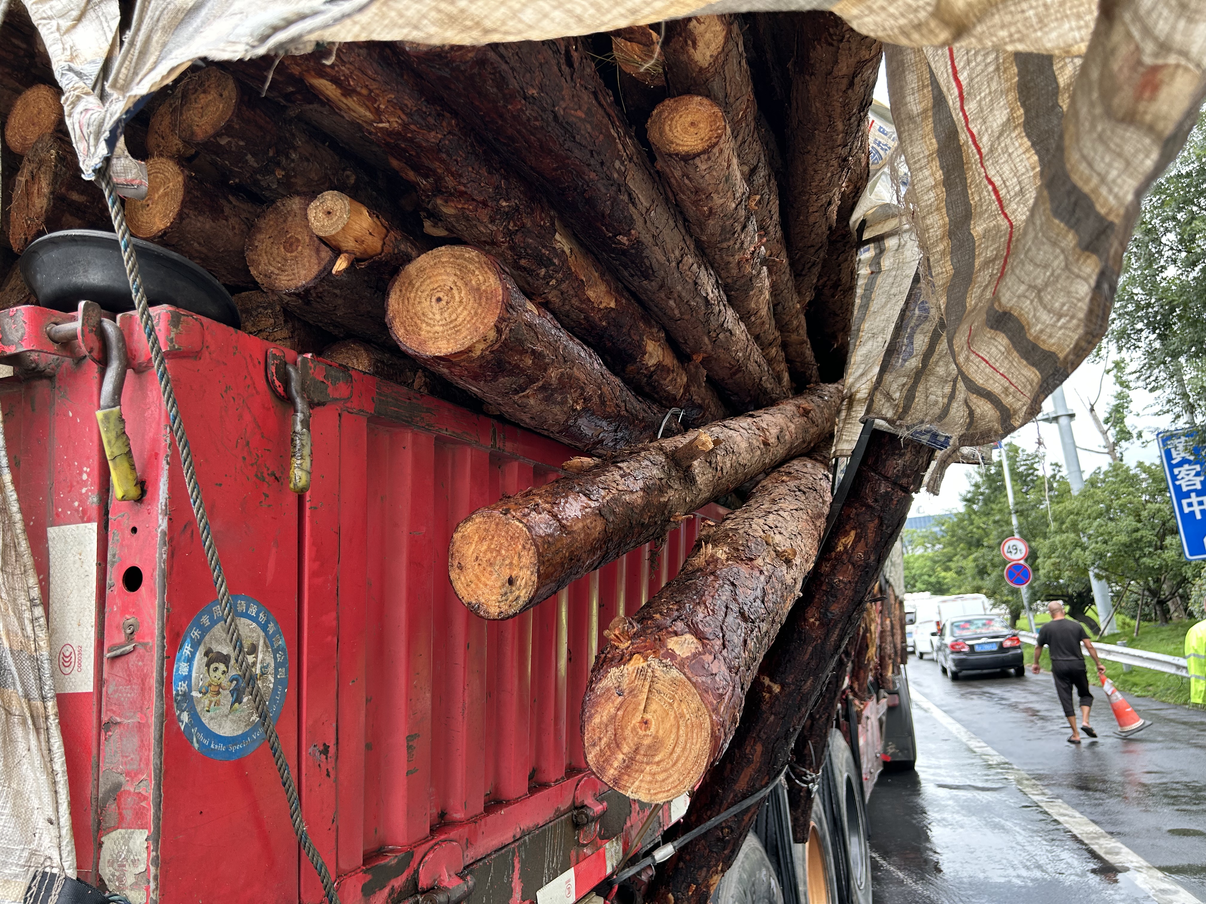 1691025806418277.jpg 郭斯泓 (2).jpg